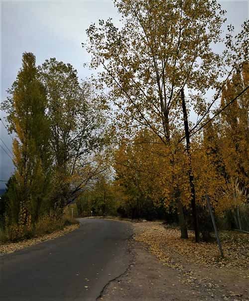 Imperdible: Se viene el Festival de Otoño en Potrerillos