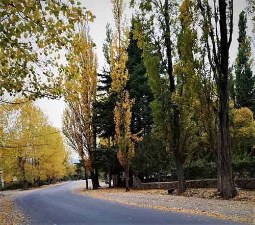 Conocé el estado de las rutas y el tiempo hasta el martes 09 de mayo