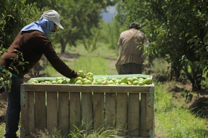 En 3 días vence el plazo para acceder a $1,2 millones en ANR para alimentos y bebidas