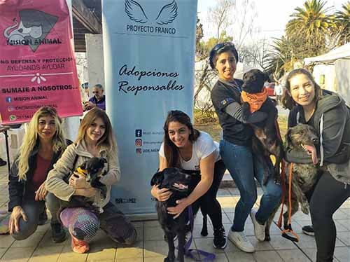 Misión Animal propicia adopciones responsables en Luján de Cuyo