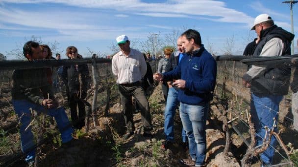 Iscamen comienza, junto a productores de Tupungato, la campaña para el control de la Polilla de la Vid