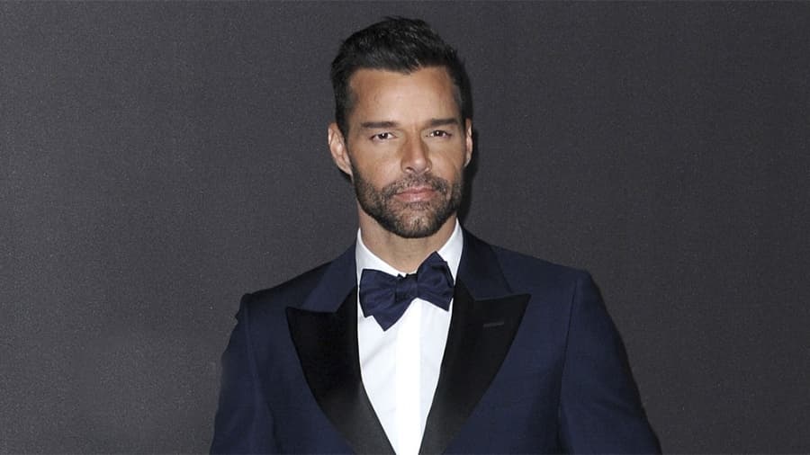 Demandaron a Ricky Martin por 3 millones de dólares por violencia doméstica
