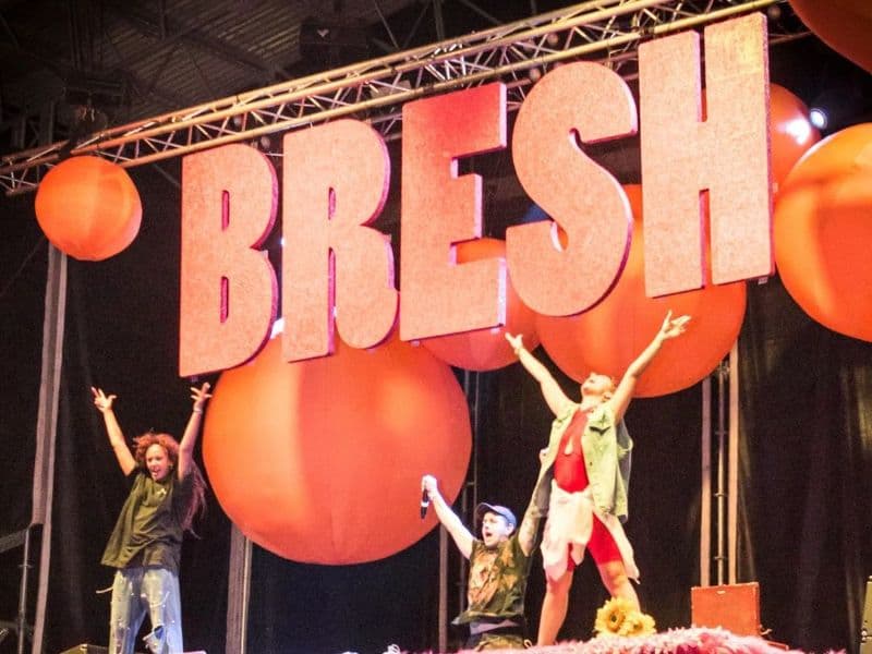 Vuelve la Fiesta Bresh a Mendoza