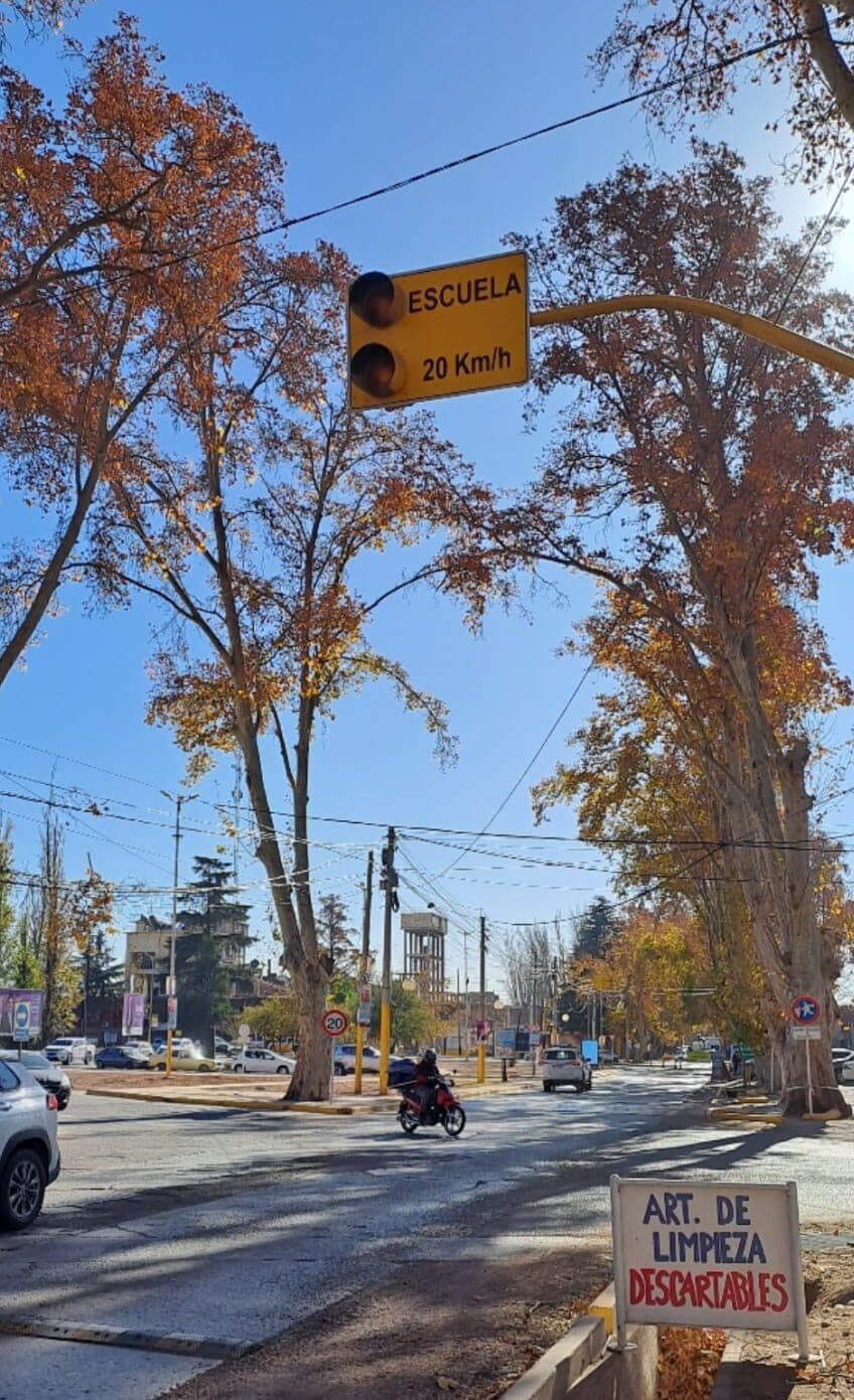 HCD: Más semáforos en zonas escolares