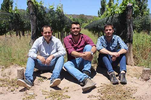 Sarapura Wines: el proyecto de 3 ingenieros agrónomos en busca de viñedos únicos