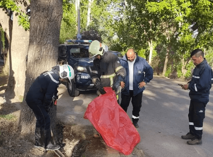 Hallaron mercurio en una acequia de Luján
