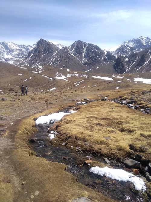 Sumá Nativas: Cómo participar del taller de conservación de humedales de Potrerillos