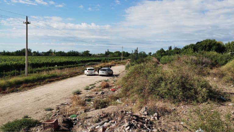 Crimen en Ugarteche: constataron 15 puñaladas