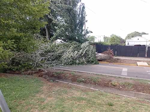 Luján: Aún continúan las tareas tras la tormenta del 02 de febrero.