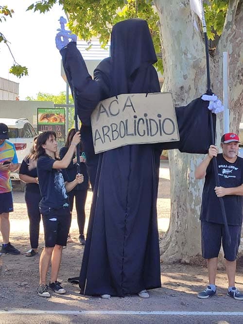 Arbolado público: Luján convoca a autoridades ambientales.