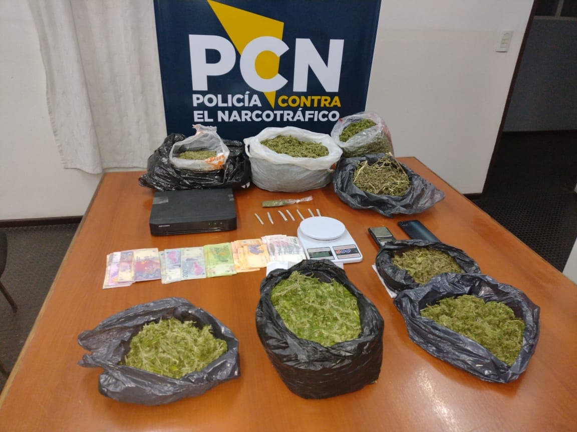 Cannabis y hongos