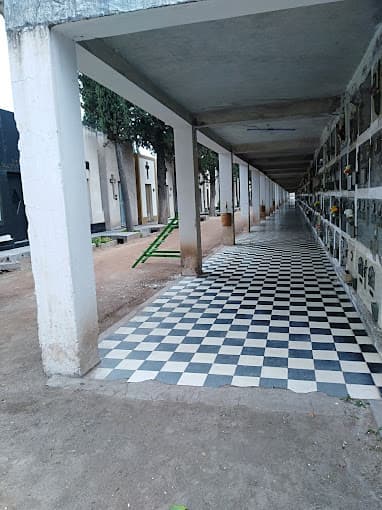 Cinerario
