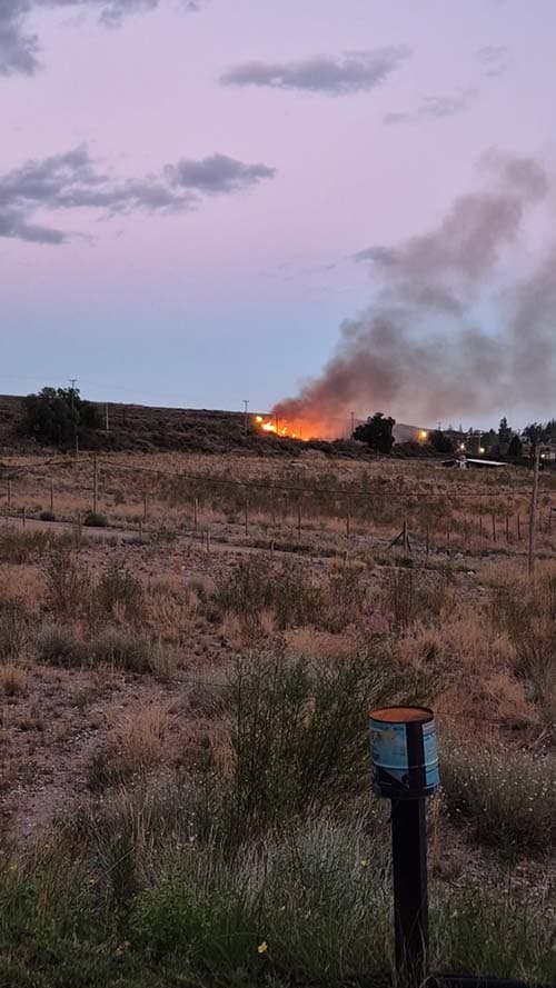 Un incendio en Colonia Suiza alertó en Luján.