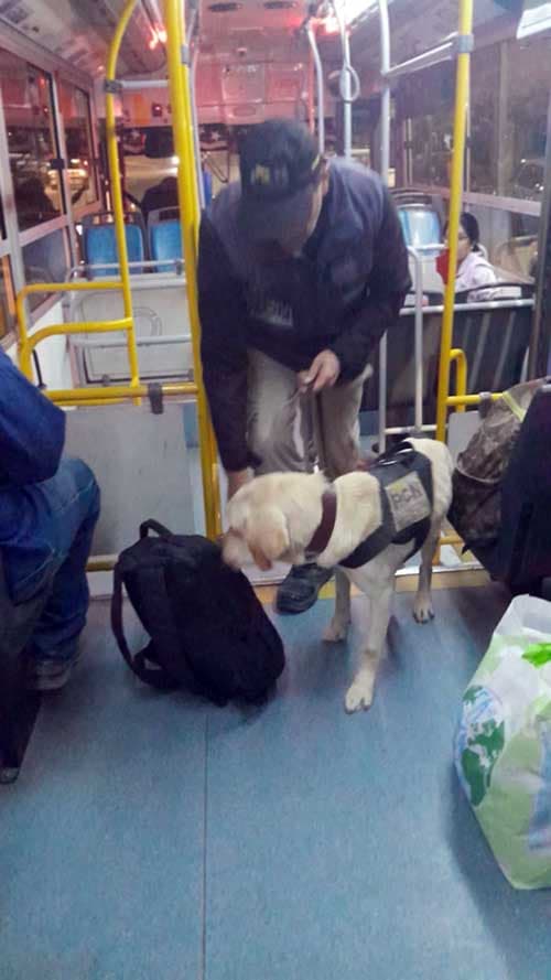 Fuerte operativo en la Triple Frontera y Guaymallén.