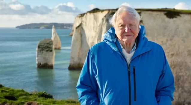 Naturalista de 99 años presentó el documental "Océano".