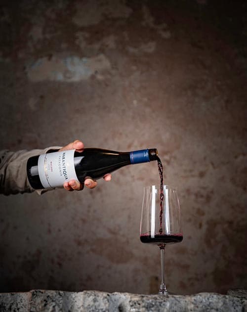 Marantiqua, vinos patagónicos de un antiguo mar.