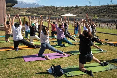 Yoga por los Caminos del Vino en Primavera