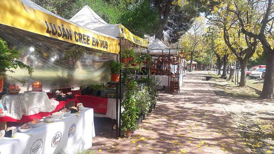Luján está en el 6° lugar de solicitudes de Mendoza Emprende Semilla