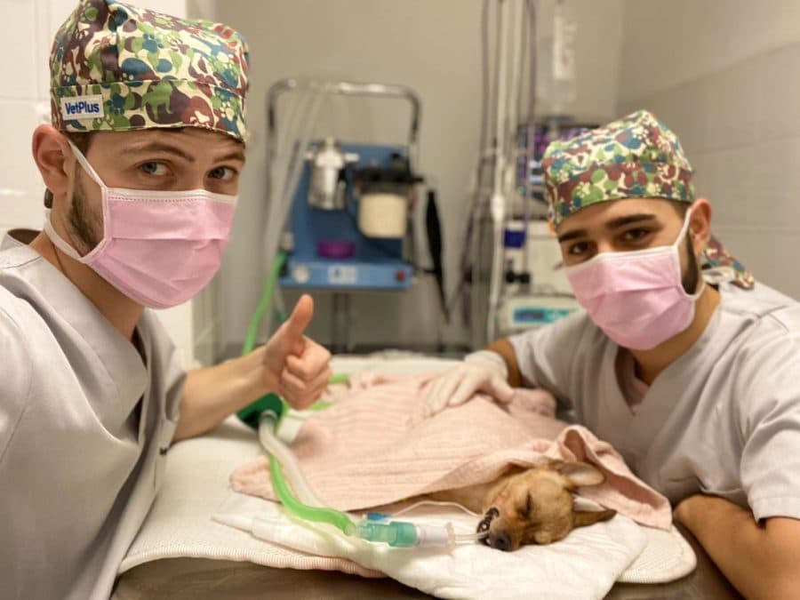 Es el turno de profesionales de la salud independientes para vacunarse
