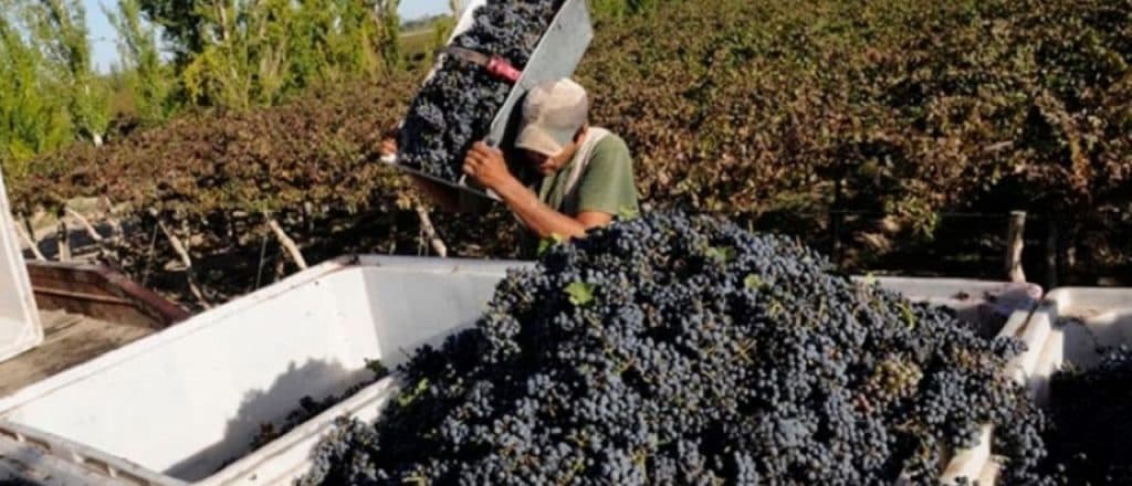 Alertan ante la delicada situación de pequeños y medianos productores de Luján