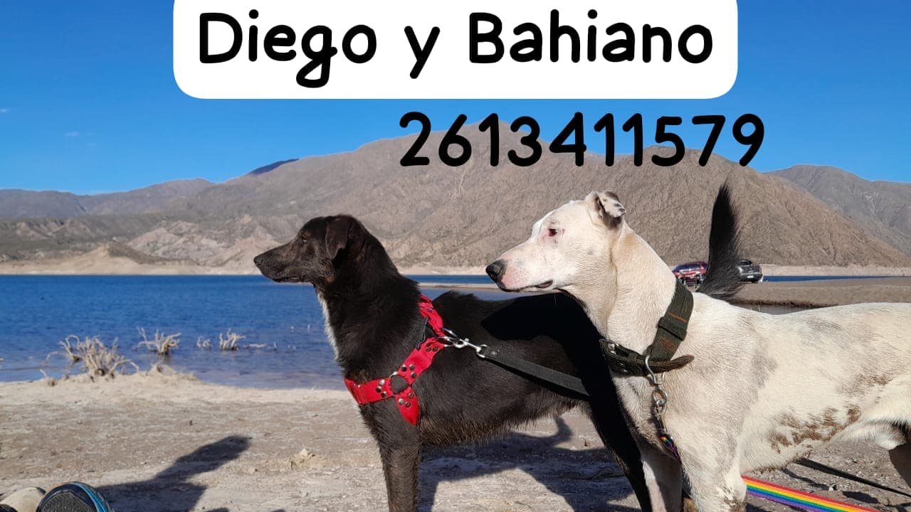 WhatsApp Image 2023-12-21 at 17.45.02