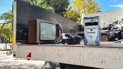 Intercambian residuos electrónicos por plantas nativas
