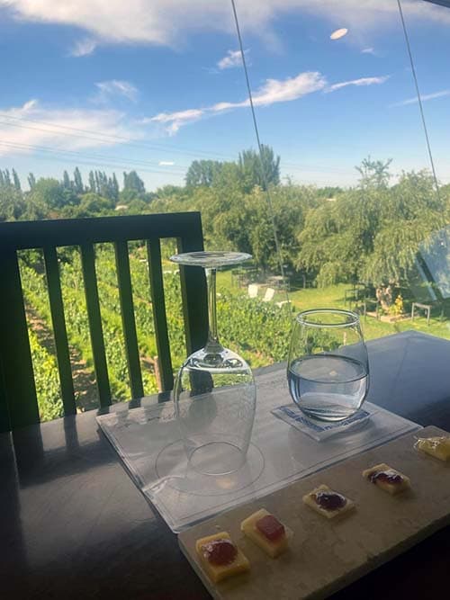 Degustación de quesos y vinos