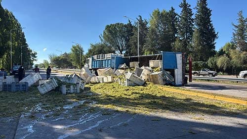 Volcó un camión en El Carrizal
