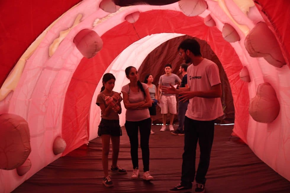 Cómo prevenir el cáncer colorrectal